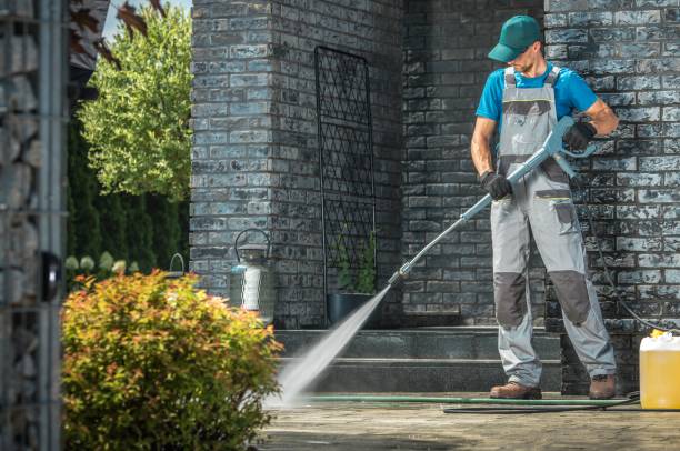 Best Animal Enclosure Cleaning  in Felton, DE